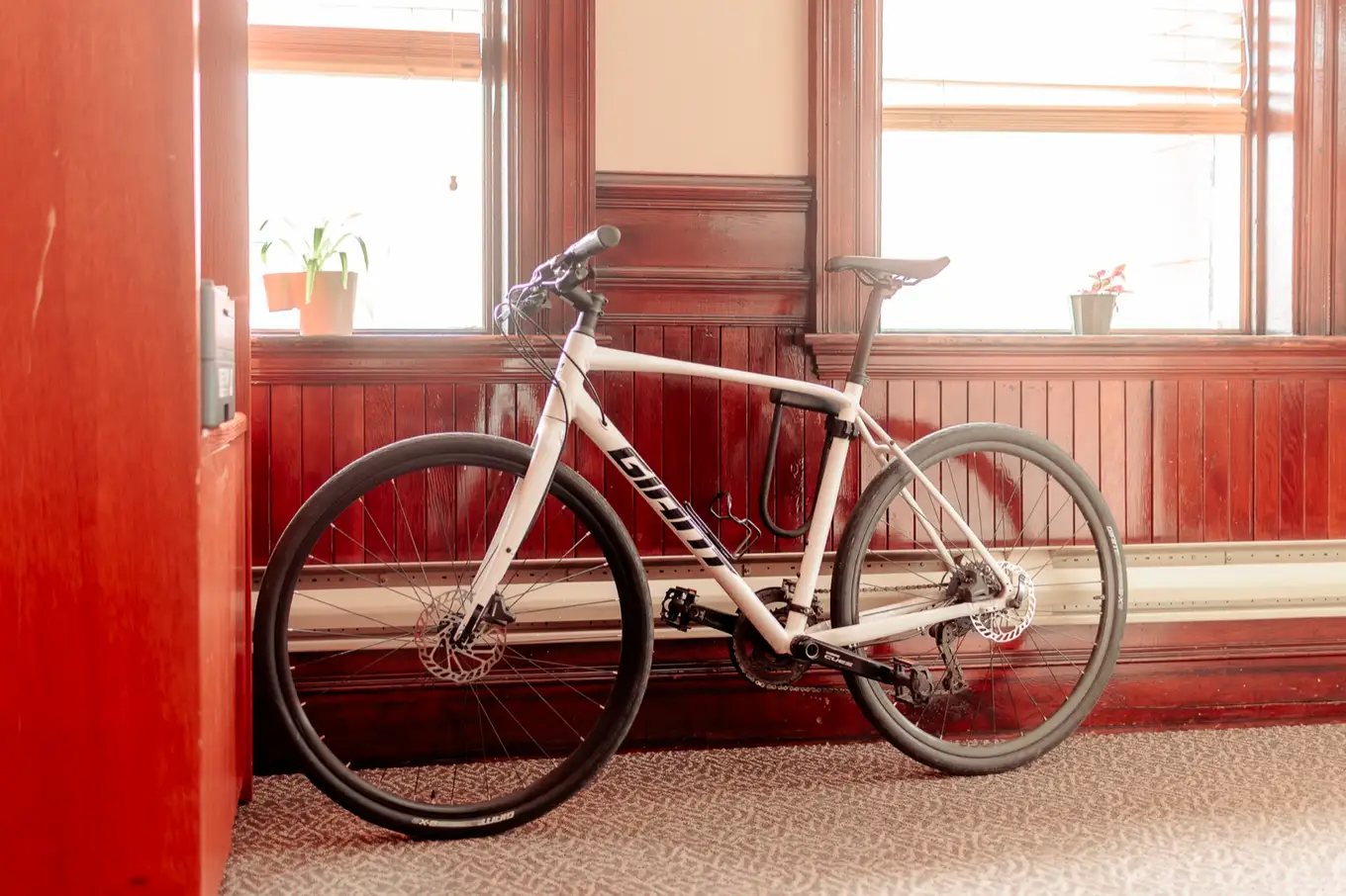 A bicycle against the wall in the firm's Moncton office